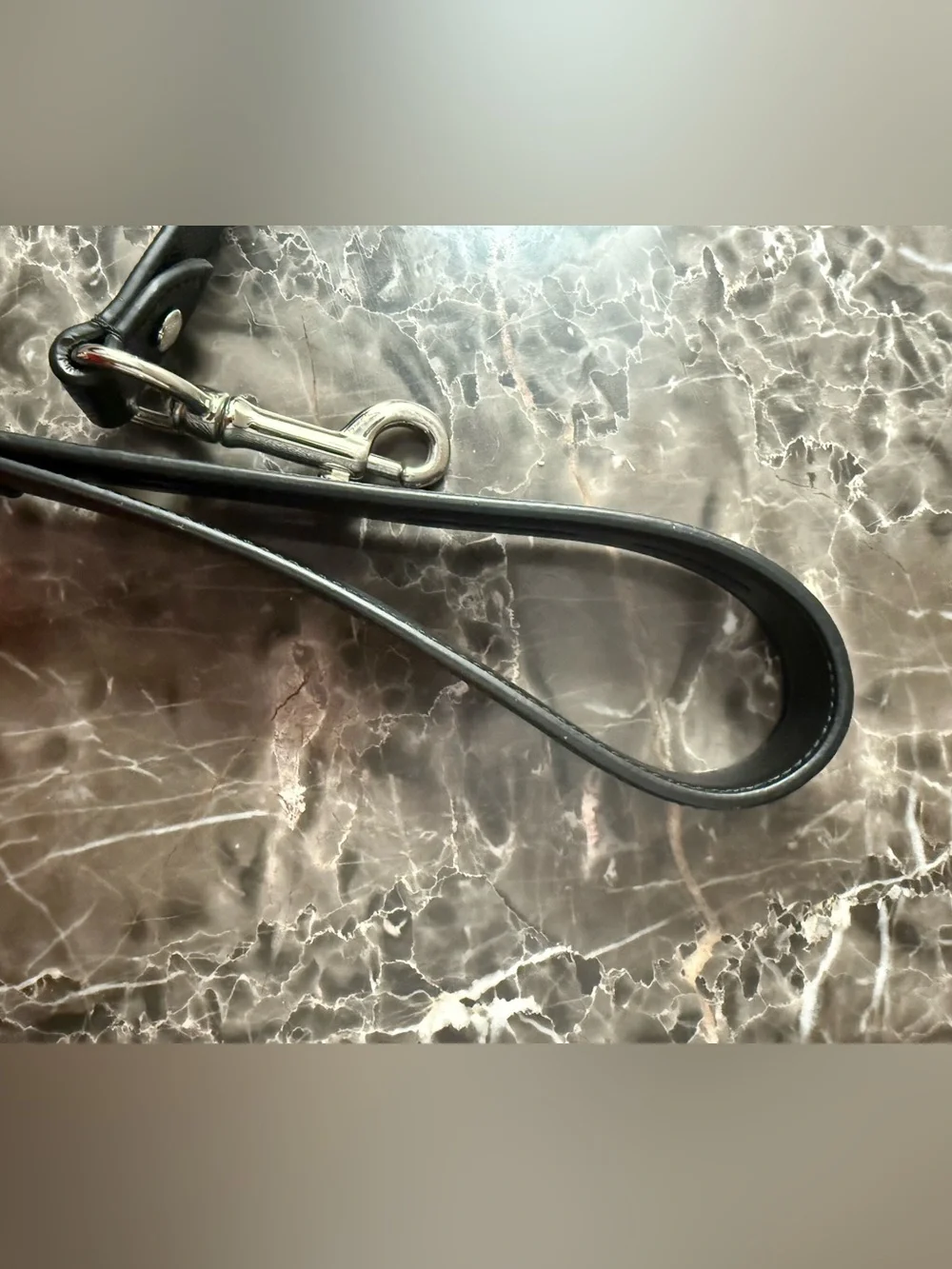 Coach Black Leather Dog Leash with Silver Hardware